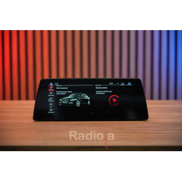 Штатная магнитола Radiola RDL-6509 L BMW X1/X2 F48/F39 (2017+) EVO