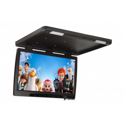 Потолочный монитор ERGO ER22H черный  с монитором 22" и входами HDMI/AV/SD/USB (Наличие СПБ)